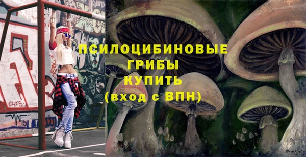 скорость Бородино