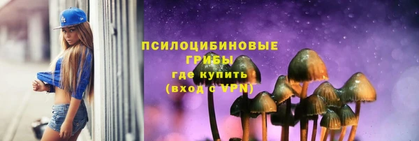 скорость Бородино