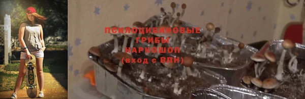 скорость Бородино