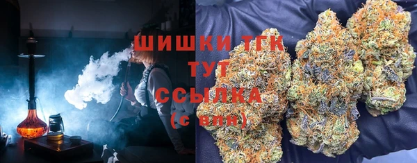 скорость Бородино