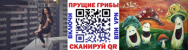купить   Менделеевск  Псилоцибиновые грибы мицелий 